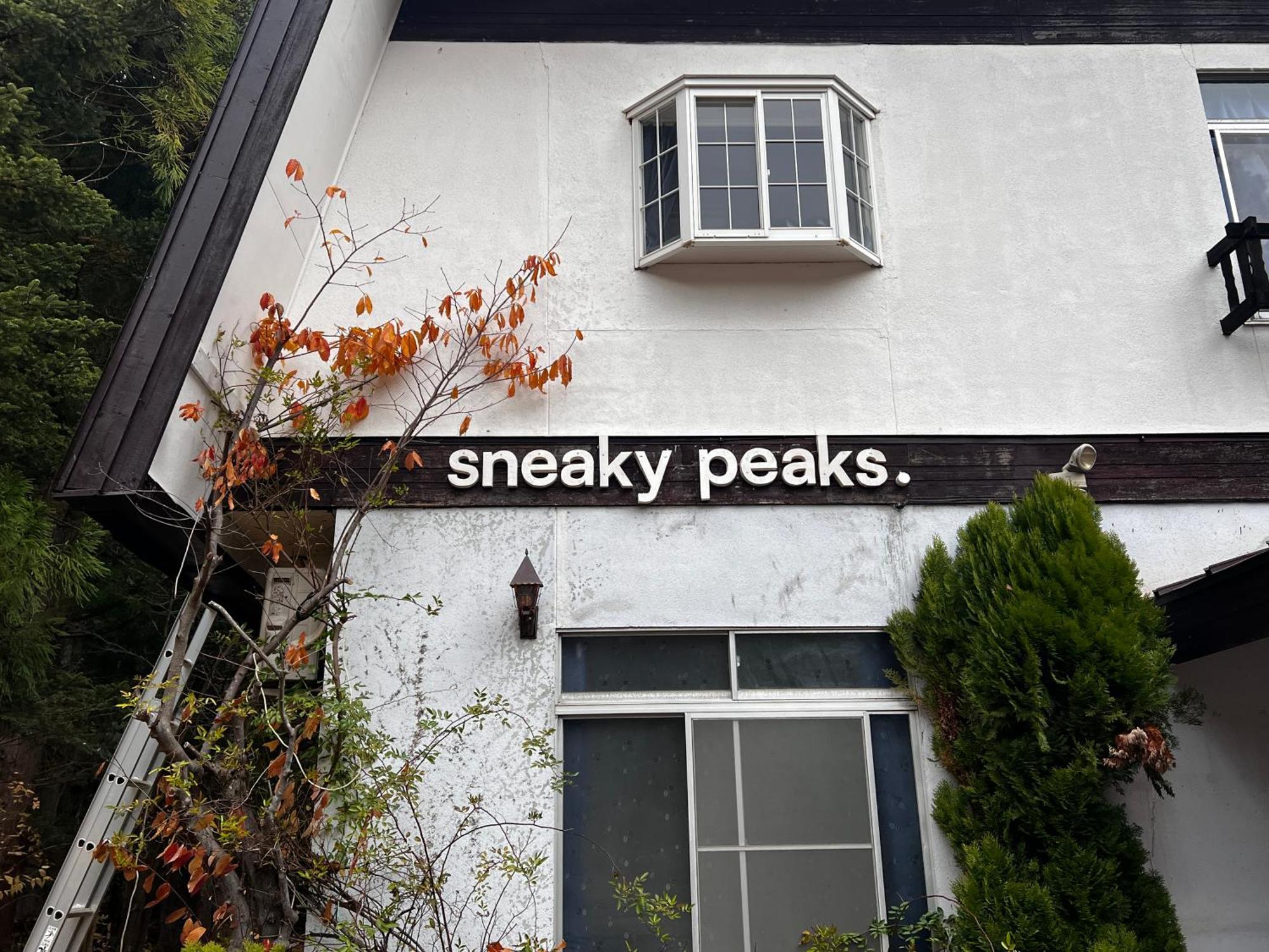 Sneaky Peaks Otel Hakuba Dış mekan fotoğraf